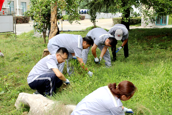 三零公司义务除草-2.jpg